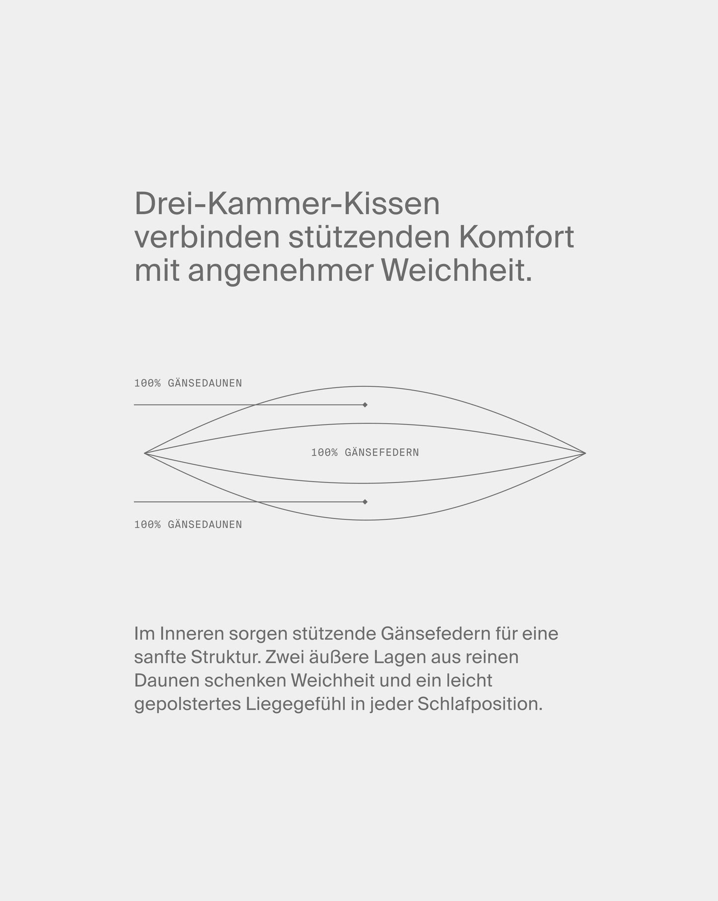 Kopfkissen