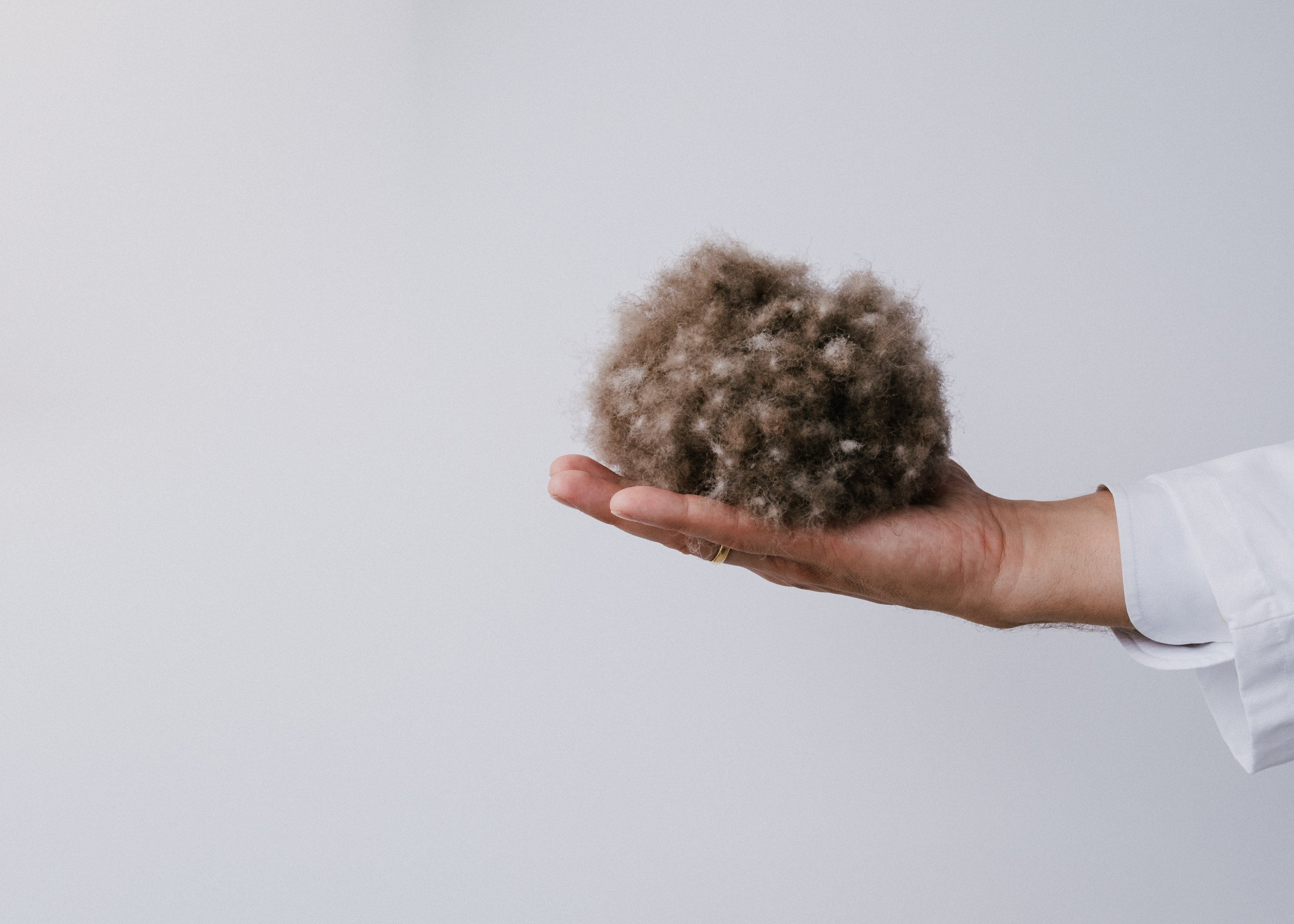 Eiderdaunen in einer Hand